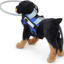 Dog Ring Harness with D-Ring, Lightweight Blind Dog Assistance Device, Visually Impaired Accessory for Dogs BlueUp Small