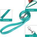 YIMEIS Dog Harness and Leash Set, No Pull Soft Mesh Pet Harness, Reflective Adjustable Puppy Vest for Small Medium Large Dogs, Cats (Turquoise, X-Small (Pack of 1)