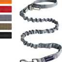 AUROTH Heavy Duty Dog Leash for Large Breeds, Bungee No Pull Leash with Shock Absorption, 6FT with 2 Padded Handles