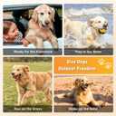 Dog Car Seat Cover for Back Seat, Waterproof Back Seat Cover with Zippered Armrest Access, Non Slip Rear Bench Cover for Cars SUVs - 52W