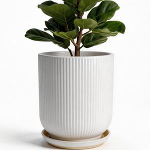 Deep Dream 10 Inch Ceramic Pots for Plants, Heavy Plant Pot for Indoor Outdoor Plants, Large Plant Pot with Drainage Hole and Saucer, Modern Tall Flower Pot, Gifts for Plant Lovers, White