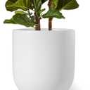 LE TAUCI 12 Inch Pots for Plants, Ceramic Large Planters for Indoor Plants, Indoor Plant Pots for Home Garden Patio Office, Planter Pots with Drainage Hole and Rubber Plug, White