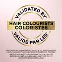 L'Oreal Paris Le Color One Step Toning Hair Gloss, Honey Blonde, 4 Ounce
