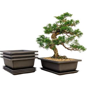 Bonsai Outlet Training Pots with Humidity Trays - Built in Mesh, Brown 8-Inch Large Planters + Made from Durable Shatter Proof Poly-Resin, Set of 3 Pot Set