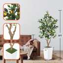 5FT Artificial Lemon Tree with Pot - 60" Fake Lemon Tree with White Tall Planter, Faux Lemon Plant with Realistic Fruits and Silk Leaves, Artificial Plants Indoor for Home Office Kitchen Decor