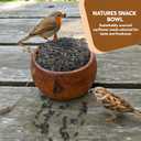 3 LB Black Oil Sunflower Seeds for Birds  Premium Wildlife & Bird Food  Grown in USA - Non-GMO - Black Oil Sunflower Seeds for Wild Birds and Backyard Feeders