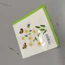 Handcraft 3D Quilling Greeting Card Daisy Flower Design for Him, Her, Friend, Mom, Daughter, Sister for Birthday, Mother's Day, Anniversaries Blank Inside, Includes Envelope, Ready to Gift