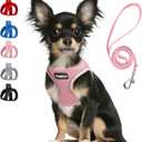 PetiFine Step in Small Dog Harness and Leash Set, Breathable All Weather Air Mesh Reflective Escape Proof, Step-in Vest Harnesses for Puppy(XS, Pink)