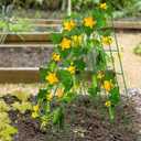 DoCred Cucumber Trellis, 2 Pack Foldable A Frame Trellis for Raised Bed Climbing Plants, Vegetables, Includes Plant Support Clips, Twist Ties, Plastic Ties- Made from PVC-Coated Steel, 39.4" H