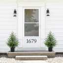 2FT Artificial Norfolk Pine Christmas Tree  Tabletop Faux Tree Unlit/Prelit with 50 LED Lights & 8-Function Battery Box, Pre-Assembled Holiday Decor for Home or Office (2FT-2Pack)