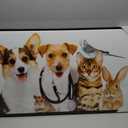 Modern Animal Wall Art Framed Canvas Dog Cat Rabbit Mouse Giclee Print, 36"L x 20"W