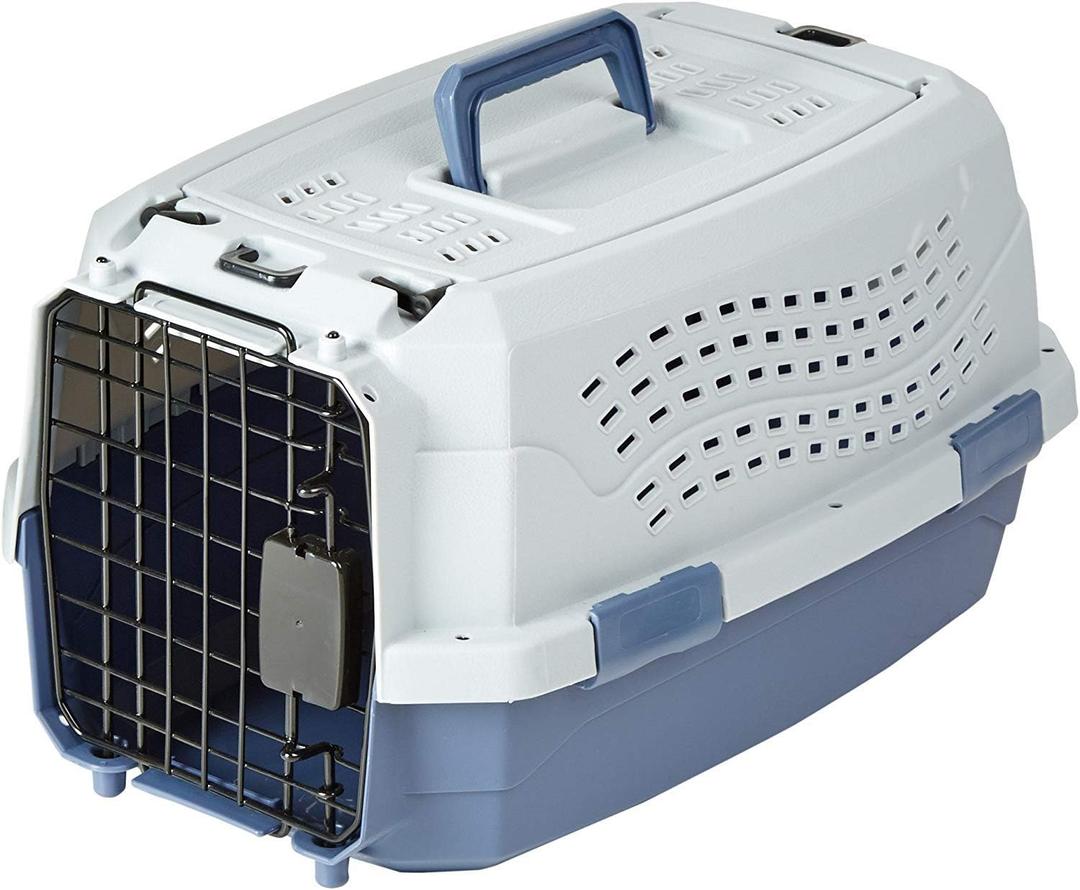 Amazon Basics 2-Door Top-Load Hard-Sided Pet Travel Carrier for Cats and Small Dogs, 19" L x 12.6" W x 10" H, Gray & Blue