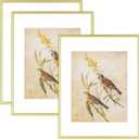 11x14 Picture Frame Set of 3, Matte Gold Modern Aluminum Metal Photo Frame with HD Glass, Fits 8x10 with Mat or 11 x 14 without Mat, for Horizontal Wall Mounting