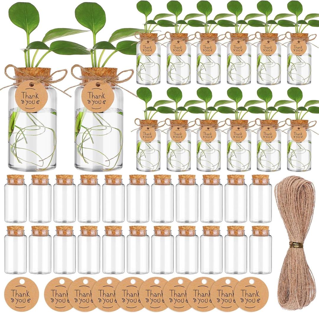 36 Packs Plant Propagation Stations with Hole Lid Clear Plastic Cultivation Bottles Tabletop Hydroponic Containers with Thank You Tags for Home Gardening Office Desktop Decoration