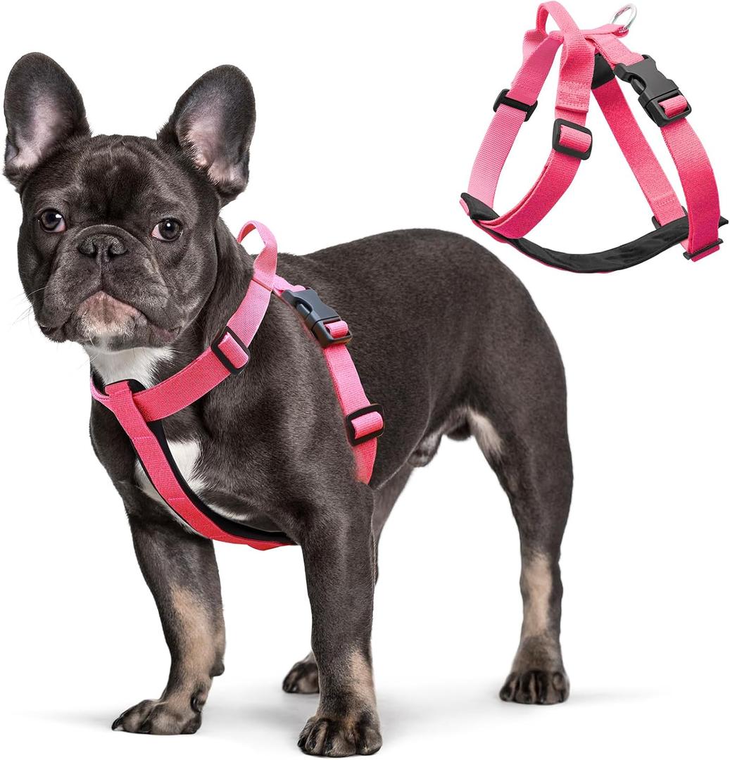 Pink Dog Harness for Small Dogs with Back Clip, Galaxy Reflective Vest