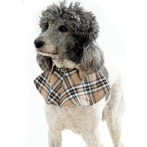 4 x Dog Tuxedo Wedding Suit Shirt with Bow Tie, Formal Outfit Tux Attire for Puppy Small Medium Dogs Cats Costume (Khaki Scarf, Large)