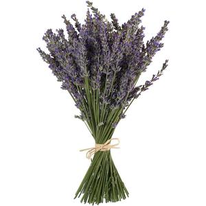 TooGet Natural Lavender Bundles, Freshly Harvested 200+ Stems Dried Lavender Bunch 16" - 18" Long, Decorative Flowers Bouquet for Home Decor, Crafts, Gift, Wedding or Any Occasion