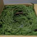 WBHome 2 PCS 9FT Real Touch Norfolk Pine Christmas Garland, Winter Greenery Garland for Christmas, Holiday Seasonal Outdoor/Indoor Home Decor