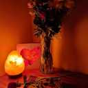 Dimmable Salt Lamp, Natural Himalayan Crystal Rock Salt Lamp Pink Light, Hand Crafted Wooden Base Direct from Foothills of The Himalayas Home Decor, Night Light & Gifts
