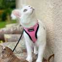rabbitgoo Cat Harness and Leash for Walking, Escape Proof Soft Adjustable Vest Harnesses for Cats, Easy Control Breathable Reflective Strips Jacket, Pink, XXS