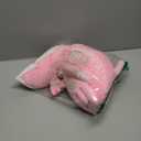 Niuniu Daddy 23" | 5Pcs Axolotl Plush Toys with 4 Babies Inside- Soft Pink Axolotl Stuffed Animal, Cute Birthday Or Christmas Plushies Gift for Girls & Boys