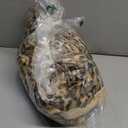 760GSM Faux Rabbit Faux Fur Throw Blanket,Super Thick Warm Bubble Blanket Throw,Fuzzy Luxury Plush Decorative Blanket for Couch Bed Sofa(Leopard Brown,50''x 60'')