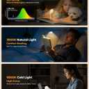 Book Light for Reading in Bed: Rechargeable 18 LED Clip on Reading Light with Timer & Memory Eye-Caring 3 Color Temperature Stepless Dimming Night Reading Lamp Gifts for Book Lovers Men Kids