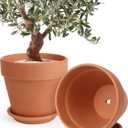 INGOFIN 12 Inch Terracotta Pot Set of 2 with Saucer - Ceramic Clay Pot for Plants with Drainage Hole, Large Terra Cotta Flower Planter with Tray for Indoor Outdoor Plants, 12/12 inch -2 pcs