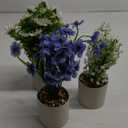 4 Packs Fake Plants Small Artificial Potted Flowers Mini Faux Plants for House Office Bathroom Farmhouse Tabletop Decor (Colorful)