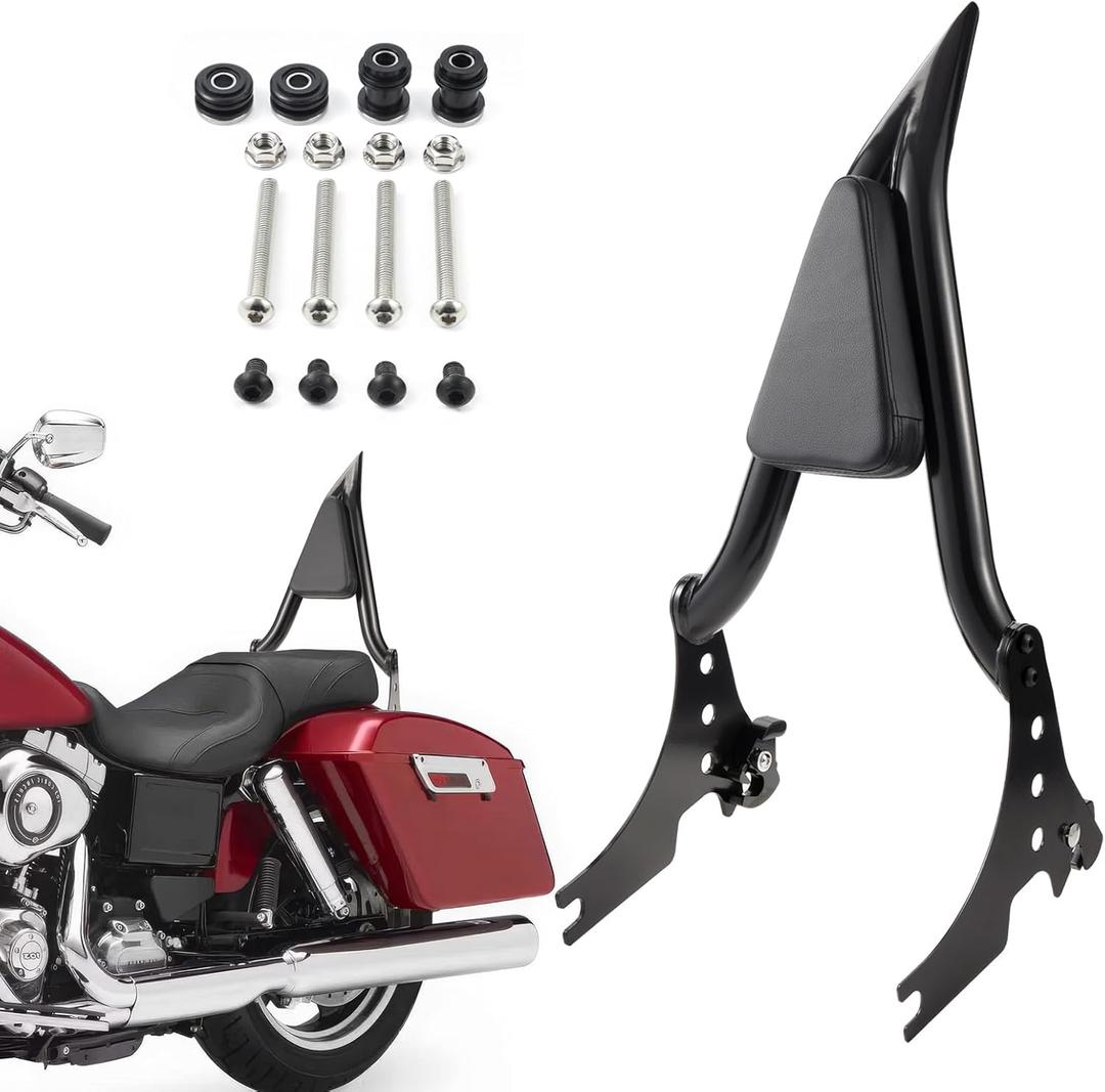 Sissy Bar for Harley Sportster 2004-2023, 13" Detachable Passenger Backrest for Sportster XL 883 1200 Iron 883 1200 Forty Eight Seventy Two (Black)