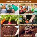 Legigo Pack of 10 Organic Coco Coir Bricks- 100% Natural Compressed Coco Peat Brick Coconut Fiber Substrate with Low EC&pH Balance, Plant Soil Enhance Root Growth for Herbs, Flowers, House Plants
