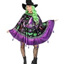 Morph Witch Costume Women, Wicked Costumes For Women, Halloween Costumes For Womens Adult