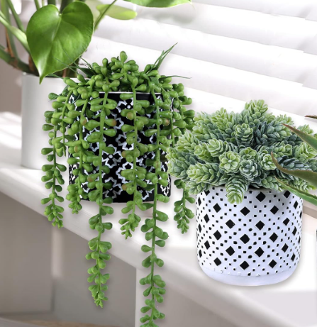 Winlyn 2 Pcs Small Potted Succulents Plants Artificial String of Pearls Aloe Hops Succulents in Black Geometric Concrete Pots for Gifts Modern Home Bathroom Window Table Indoor Outdoor Greenery Décor