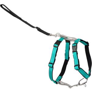 PetSafe 3 in 1 No-Pull Dog Harness for Small Dogs- Walk, Train or Travel - Helps Pets from Pulling on Walks - Seatbelt Loop Doubles as Quick Access Handle - Reflective- Extra Small, Teal