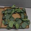 Idyllic Eucalyptus Leaves Wreath Metal Polyester Green Wreath 14 Inches for The Front Door Décor, 1 Pack