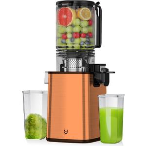 Cold Press Juicer, 5.8" Wide Feed Chute Juice Extractor Machine with 400W, High Juice Yield, Slow Masticating Juicer for Whole Vegetables & Fruits, Stainless Steel