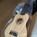 Everjoys Soprano Ukulele Beginner Kit 21 Inch w/Free Online Lesson Gig Bag Tuner Picks Strap, Fast to Learn (Rainbow String)
