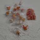 SUPERFINDINGS 32Pcs 4Styles Mini Chicken Figurines Resin 3D Hen Rooster Ornaments Chicken Cock Miniature Fairy Garden Decor Hen Micro Landscape Accessories