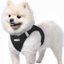 Rabbitgoo Small Dog Harness, Step-in Soft Mesh Puppy Vest with Safety Buckle, Breathable Reflective Pet Harness for Small Sized Dogs, Black S (S(Chest:15.1"-16.5"))