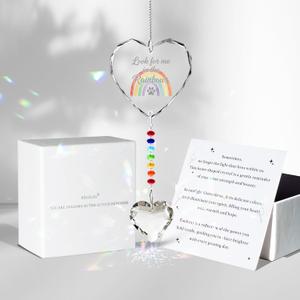 Pet Memorial Gifts for Dogs Cats - Look for me in the Rainbows Crystal Suncatcher Pet Loss, Pet Sympathy, Rainbow Bridge Sympathy Gifts for Loss of Dog Cat, Thoughtful Dogs and Cats Remembrance