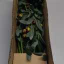 SHACOS 3 PCS 39" Fake Olive Tree Branches Olive Stems Large Tall Artificial Greenery Stems Bulk Faux Olive Branches for Vase Olive Leaves Plant Branch Greenery Decor