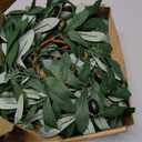 8 Pcs Artificial Green Olive Wreaths Greenery Wreath with Olive Leaves Mini Green Kitchen Cabinet Wreaths Swag Spring Summer Wreath for Front Door Porch Wall Window Farmhouse Wedding Decoration