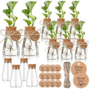 Baderke 3.35'' Plastic Plant Propagation Stations with Hole Lid Planter Vase Clear Propagation Jars with Thank You Tags for Plant Lover Gifts for Women Office Home Garden(12 Pack,Cute)