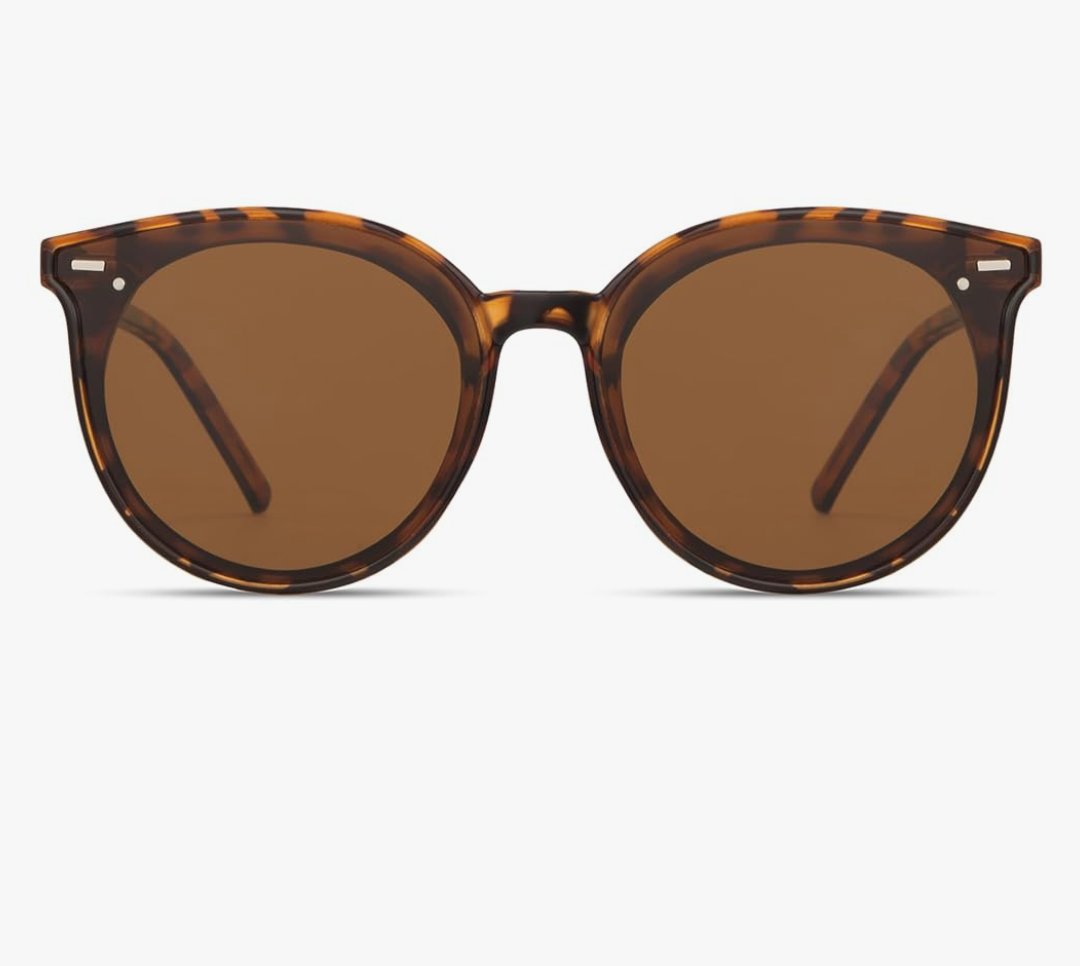 Livho Polarized Sunglasses, Retro & Oversized Shades for Women with Round Lenses