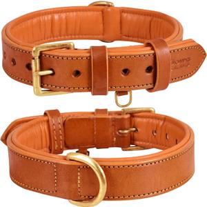Leather Dog Collar for Medium Dogs, Orange, 1 Inch Wide, Genuine Leather, Heavy Duty with Soft Inner Padding, Comfortable and Durable (Medium (Fit Neck Size 14.5"-18.5"), Tangerine Orange)