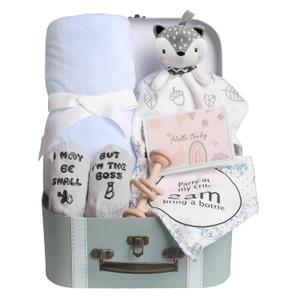 Baby Shower Gifts, Baby Boy Gifts Basket Includes Newborn Blanket Baby Lovey Security Blanket, Funny Baby Bibs Socks & Greeting Card - Baby Gift Set Newborn Shower Basket for Boys (FOX - Infant Blue)