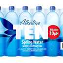 TEN Alkaline Spring Water, pH 10, High in Electrolytes, 16.9 Ounce Bottle (Pack of 24) (EXP 08/29/26)