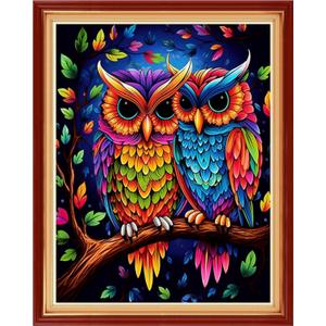 Findvoor Stamped Cross Stitch Kits for Beginner Embroidery Kits for Beginners Adults DIY 11CT Cross Stitch Patterns Needlepoint Kits Crossstitching Kits-Colorful Owl 16x20 inch (ArtworkColor09)