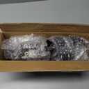 Retractable Ratchet Straps for 2015-2025 Ford F150, Ratchet Straps (2-Pack) Ford F150 Accessories, Tie Down Straps Self Retractable, Heavy Duty(1,500lb Break Strength), 1 Inch x 10 Feet, Black