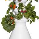 Farmstand Starter Kit + 24 Seedling Credit | Medium Hydroponic Growing System Kit | Self-Watering Outdoor Vertical Garden Planter Tower | 4ft 10in | Made in USA